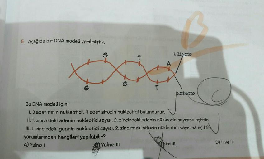 5. Aşağıda bir DNA modeli verilmiştir.
S
1. ZINCIR
T
A
G
T
2.ZINCIR
Bu DNA modeli için;
1.3 adet timin nükleotidi, 4 adet sitozin nükleotidi bulundurur.
II. 1. zincirdeki adenin nükleotid sayısı, 2. zincirdeki adenin nükleotid sayısına eşittir.
III. 1. zin