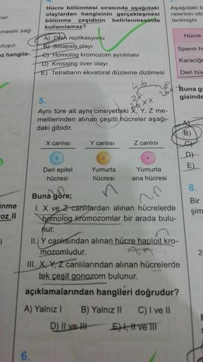 Hücre bölünmesi sırasında aşağıdaki
olaylardan hangisinin gerçekleşmesi
bölünme çeşidinin belirlenmesinde
kullanılamaz?
Aşağıdaki ta
relerinin ota
terilmiştir.
ner.
mesini sağ-
Hücre
bluşur.
oz hangile-
Sperm h
A) DNA replikasyonu
B) Sinapsis olayı
E) Homo