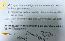 5.
Zeytin, ülkemizde Ege, Marmara ve Akdeniz kıyıla-
rinda yetişmektedir.
II. 10 metreye kadar uzayabilen, her mevsim yeşil ka-
lan bir ağaçtır.
ILL. Uzun ömürlü bir ağaç olup 2000 yıl kadar yaşayabi-
lir.
Yukarıda verilen ifadelerin hangileri coğrafyanın dağı-
lış ilkesi ile ilgilidir?
A) Yalnız I.
B) Yahu
C) We II.
D) ve III.
EN ve III.
