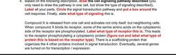 4. Based on the following description, draw the cell signaling pathway described (you
only need to draw the pathway in one cell, but show the type of signaling described).
Label all your parts. Circle the signal transduction pathway and put a box around th