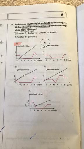 A
dir:
17. Bir hücrenin hayat döngüsü içerisinde bulundurduğu çe-
kirdek miktarını gösteren grafik aşağıdakilerden hangi-
sinde doğru verilmiştir?
(i: interfaz, P: Profaz, M: Metafaz, A: Anafaz,
T: Telofaz, S: Sitokinez)
nez?
A)
Çekirdek miktari
B)
AÇekird