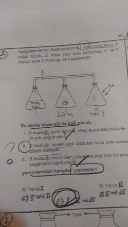 Aşağıdaki deney duzeneklerinde kalda kireç suyu, 1!
kaba böcek, Ill kaba yeşil bitki konulmus. I ve II
kaplar arası X musluğu ile kapatılmıştır.
X
Işık
Kireç
suyu
boller
yerl
Bu deney düzeneği ile ilgili olarak,
1. X musluğu gece açılırsa, kireç suyundakı bulanık-
lik çok yoğun olur
Il musluğu surekli açık tutulursa önce bitki sonra
böcek ölecektir.
DI. X musluğu kapalı iken, böcewe yeşil bitki bir sure
yaşamlarını sürdürebilit
yorumlarından hangilefi yapılabilir?
o
A) Yalnız I
B) Yalnız
o Ive
c)FV21
It will
Tipa +
&
