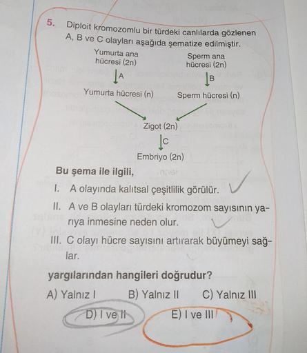 5.
Diploit kromozomlu bir türdeki canlılarda gözlenen
A, B ve C olayları aşağıda şematize edilmiştir.
Yumurta ana
Sperm ana
hücresi (2n)
hücresi (2n)
B
Yumurta hücresi (n)
Sperm hücresi (n)
Zigot (2n)
lo
Embriyo (2n)
Bu şema ile ilgili,
1. A olayında kalıt