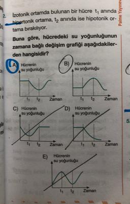 Palme Yayınev
2. izotonik ortamda bulunan bir hücre t, anında
hipertonik ortama, tz anında ise hipotonik or-
tama bırakılıyor.
Buna göre, hücredeki su yoğunluğunun
zamana bağlı değişim grafiği aşağıdakiler-
den hangisidir?
A
Hücrenin
su yoğunluğu
B) Hücrenin
su yoğunluğu
**********
TE
ti
t2
Zaman
t1
t2
Zaman
C) Hücrenin
su yoğunluğu
D) Hücrenin
su yoğunluğu
5.
tytz
Zaman
ty te
Zaman
E) Hücrenin
su yoğunluğu
*****
ty
t2
Zaman
