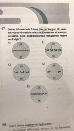 47
Gamet hücrelerinde 3 tane otozom taşıyan bir canli-
nun vücut hücresinin mitoz bölünmesine alt metafaz
evresinin sekli aşağıdakilerden hangisinde doğru
verilmiştir?
A)
B)
XXXX
c)
D)
>>>
X
E)
48.
Eşeyli üreme çeşitleriyle ilgili olarak
Gametlerin döllenm