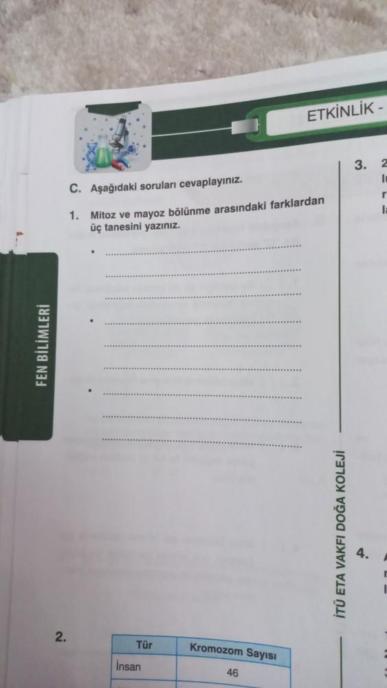 ETKİNLİK -
3.
2
T
C. Aşağıdaki soruları cevaplayınız.
r
TE
1. Mitoz ve mayoz bölünme arasındaki farklardan
üç tanesini yazınız.
FEN BİLİMLERİ
İTÜ ETA VAKFI DOĞA KOLEJİ
2.
Tür
Kromozom Sayısı
Insan
46
