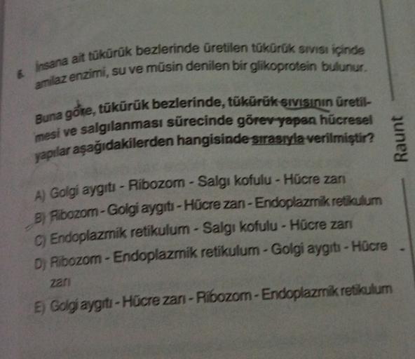 & insana ait tükürük bezlerinde üretilen tükürük Sivisi içinde
amilaz enzimi, su ve müsin denilen bir glikoprotein bulunur.
Buna göre, tükürük bezlerinde, tükürük sivisinin üretil-
mesi ve salgılanması sürecinde görev yapan hücresel
yapılar aşağıdakilerden