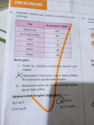FEN BİLİMLERİ
15. Aşağıdaki tabloda bazı türlerin kromozom sayılan
verilmiştir.
17. A
Tür
Kromozom sayisi
Fost
500
Eğrelti otu
Kurt bağı bitkisi
Kirpi
46
4
Deve
70
Misir
20
Insan
46
Buna göre,
Bu
gil
I. Farklı tür canlıların kromozom sayıları aynı
olabilir
