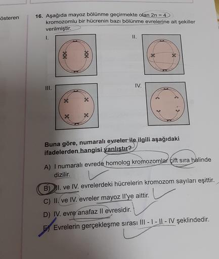 österen
16. Aşağıda mayoz bölünme geçirmekte olan 2n = 4
kromozomlu bir hücrenin bazı bölünme evrelerine ait şekiller
verilmiştir.
1.
II.
**
TO
IV.
III.
-
X
e-
X
X
Buna göre, numaralı evreler ile ilgili aşağıdaki
ifadelerden
hangisi yanlıştır?
A) I numaral