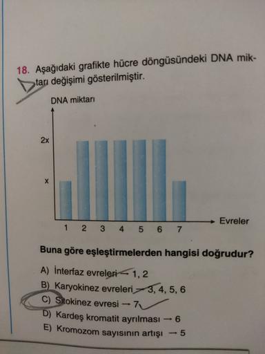 18. Aşağıdaki grafikte hücre döngüsündeki DNA mik-
tarı değişimi gösterilmiştir.
DNA miktarı
2x
X
Evreler
1 2 3 4 5 6 7
Buna göre eşleştirmelerden hangisi doğrudur?
A) İnterfaz evreleri 1,2
B) Karyokinez evreleri 3, 4, 5, 6
C) Sitokinez evresi
7
D) Kardeş