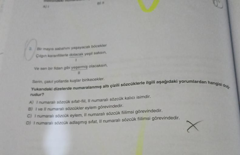 2. Bir mayis sabahini yasayacak böcekler
Cilgin karanfillerle dolacak yeşil saksin,
1
Ve son bir fidan gibi yeşermiş olacaksın,
11
Serin, çakal yollarda kuşlar birikecekler.
Yukandaki dizelerde numaralanmış altı çizili sözcüklerle ilgili aşağıdaki yorumlar