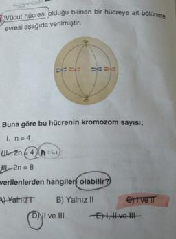 Vücut hücresi olduğu bilinen bir hücreye ait bölünme
evresi aşağıda verilmiştir.
sic
sie sic
Buna göre bu hücrenin kromozom sayısı;
I. n = 4
(L. 2n 4 nu
€ 4
H2n = 8
verilenlerden hangileri olabilir?
4) YalnızT
B) Yalnız 11
etve
DNI ve III
Et, H ve te
