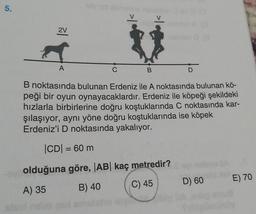 5.
2V
A
C
B
D
B noktasında bulunan Erdeniz ile A noktasında bulunan kö-
peği bir oyun oynayacaklardır. Erdeniz ile köpeği şekildeki
hızlarla birbirlerine doğru koştuklarında C noktasında kar-
şılaşıyor, aynı yöne doğru koştuklarında ise köpek
Erdeniz'i D noktasında yakalıyor.
|CD= 60 m
olduğuna göre, |AB| kaç metredir?
E) 70
D) 60
C) 45
A) 35
B) 40
