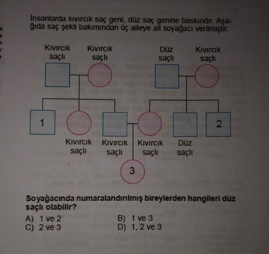insanlarda kıvırcık saç geni, düz saç genine baskındır. Aşa-
ğıda saç şekli bakımından üç aileye ait soyağacı verilmiştir.
7
Kivircik
sachi
Kivircik
sacli
Düz
saçli
Kivircik
saçli
1
O
N
Kivircik
saçlı
Kivircik Kivircik
sacli sacli
Düz
sacli
3
Soyağacında n