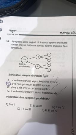 MAYOZ BÖL
SAHİNKAYA
16. Aşağıdaki şema sağlıklı bir insanda sperm ana hücre-
sinden mayoz bölünme sonucu sperm oluşumu özet-
lemektedir.
2n
Sperm
ana hücresi
Buna göre, oluşan hücrelerle ilgili;
I. a ve b nin genetik yapısı kesinlikle aynıdır.
(.c ve f nin gonozom çeşitleri aynıdır.
III. d ve e nin kromozom sayısı eşittir.
IV. a ve b nin kromozom sayısı haploid(n) dir.
yorumlarından hangileri yapılabilir?
A) I ve II
B) III ve IV
C) II ve IV
D) I, II ve III
E) II, III ve IV
AYA
