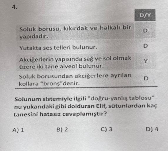 4.
D/Y
D
Soluk borusu, kıkırdak ve halkalı bir
yapıdadır.
D
Yutakta ses telleri bulunur.
Y
Akciğerlerin yapısında sağ ve sol olmak
üzere iki tane alveol bulunur.
Soluk borusundan akciğerlere ayrılan
kollara "bronş" denir.
D
Solunum sistemiyle ilgili "doğru
