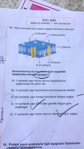 Turkce
Türk Dili ve Edel
Sosyal am
(1 Olurum
ÖZEL SERİ
OM00-SS.OOTYT07 / FEN BİLİMLERİ
15. Hücre zarındaki bazı yapılar aşağıda şematize edilmiştir.
(Glikolipit)
II (Glikoprotein)
V (Steroit)
olo
IV (Protein)
III (Fosfolipit)
Numaralanmış bu kısımlarla ilg