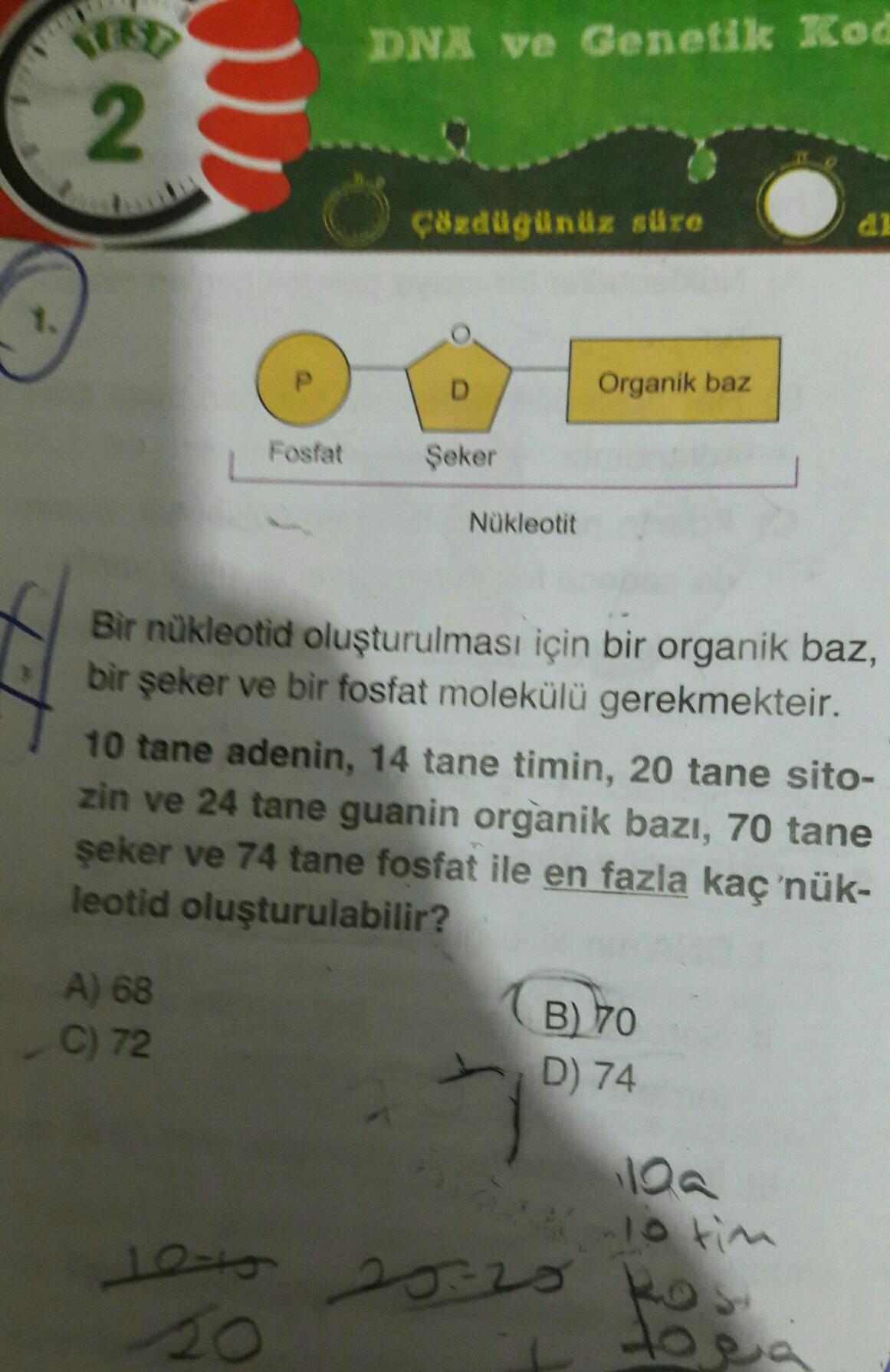 DNA ve Genetik Kod
2.
çoxdugunuz süre
d1
D
Organik baz
Fosfat
Şeker
Nükleotit
Bir nukleotid oluşturulması için bir organik baz,
bir şeker ve bir fosfat molekülü gerekmekteir.
10 tane adenin, 14 tane timin, 20 tane sito-
zin ve 24 tane guanin organik bazı,