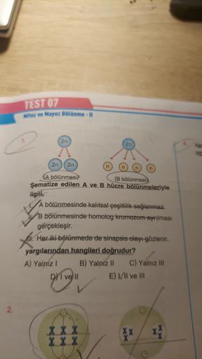 TEST 07
Mitoz ve Mayoz Bölünme - Il
2n
2n
ser
2n
2n
n
(A bölünmesi)
(B bölünmesi
Şematize edilen A ve B hücre bölünmeleriyle
ilgili,
A bölünmesinde kalıtsal çeşitlilik sağlanmaz.
B bölünmesinde homolog kromozom ayrılması
gerçekleşir.
Her iki bölünmede de s