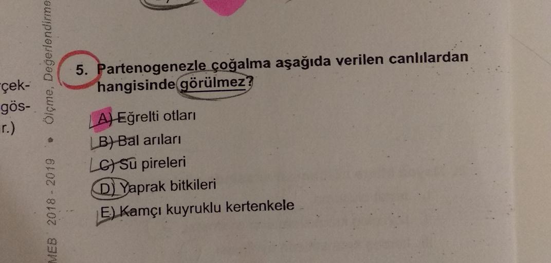 Ölçme, Değerlendirme
5. Partenogenezle çoğalma aşağıda verilen canlılardan
hangisinde görülmez?
çek-
gös-
r.)
MEB 2018 - 2019
LAJ Eğrelti otları
LB) Bal arıları
LG su pireleri
D) Yaprak bitkileri
E) Kamçı kuyruklu kertenkele
