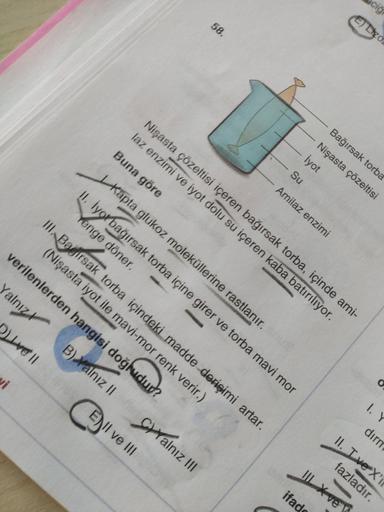 cig
58
E) to
Bağırsak torba
Nişasta çözeltisi
İyot
Su
Amilaz enzimi
Nişasta çözeltisi içeren bağırsak torba, içinde ami-
laz enzimi ve iyot dolu su içeren kaba batırılıyor.
Buna göre
kapta glukoz moleküllerine rastlanır.
II. lyorbağırsak torba içine girer