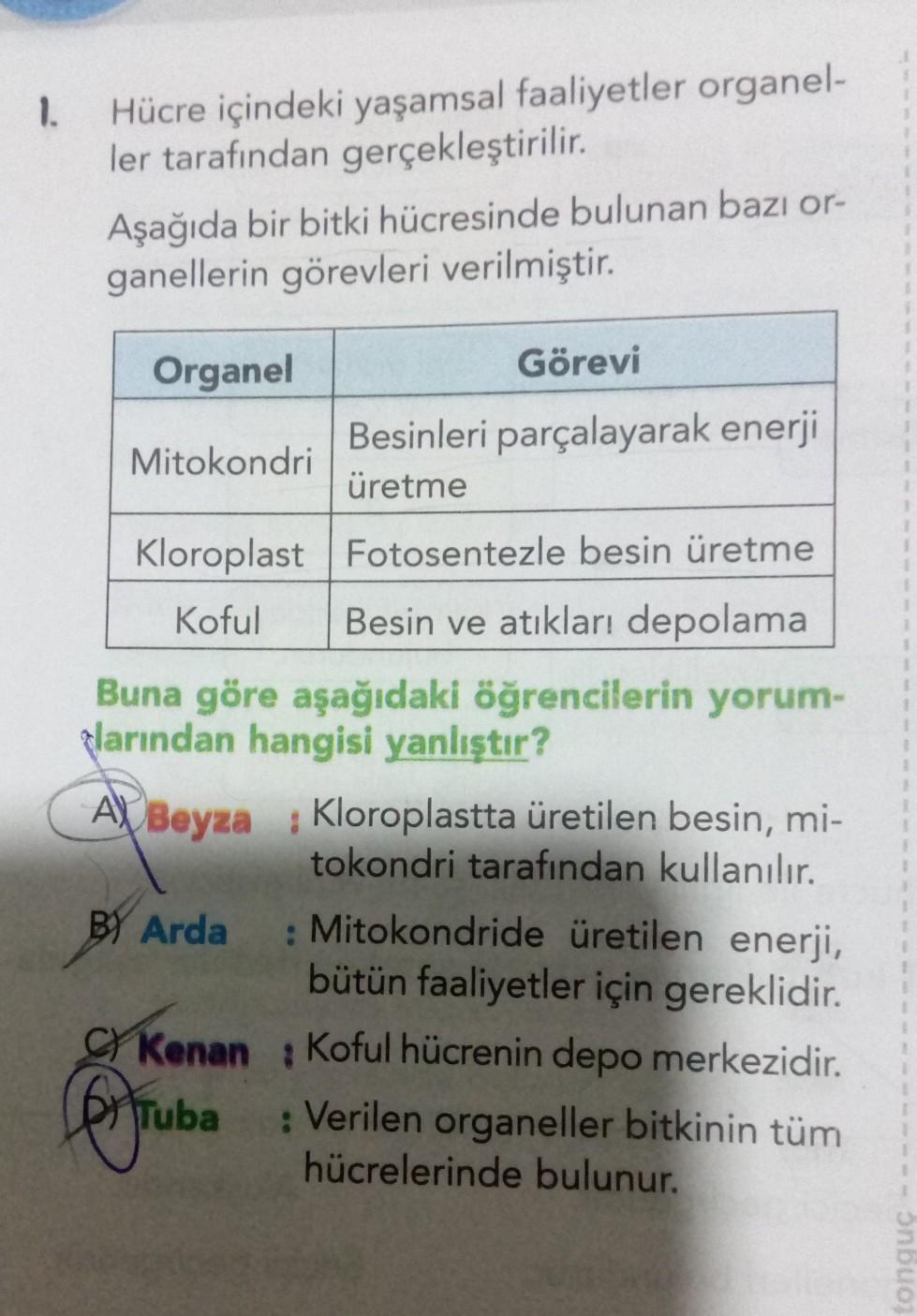 1.
Hücre içindeki yaşamsal faaliyetler organel-
ler tarafından gerçekleştirilir
.
Aşağıda bir bitki hücresinde bulunan bazı or-
ganellerin görevleri verilmiştir.
Organel
Görevi
Mitokondri
Besinleri parçalayarak enerji
üretme
Kloroplast Fotosentezle besin ü