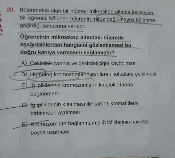 20. Bölünmekte olan bir hücreyi mikroskop altında inceleyen
bir öğrenci, bölünen hücrenin
mitoz değil mayoz bölünme
geçirdiği sonucuna varıyor.
Öğrencinin mikroskop altındaki hücrede
aşağıdakilerden hangisini gözlemlemesi bu
doğru kaniya varmasını sağlamış