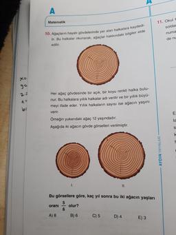 A
Matematik
11. Okuld
soldat
numa
10. Ağaçların hayatı gövdelerinde yer alan halkalara kaydedi-
lir. Bu halkalar okunarak, ağaçlar hakkındaki bilgiler elde
edilir.
de nu
2
ca
Her ağaç gövdesinde bir açık, bir koyu renkli halka bulu-
nur. Bu halkalara yıllık halkalar adı verilir ve bir yıllık büyü-
meyi ifade eder. Yillik halkaların sayısı ise ağacın yaşını
verir.
E
la
Örneğin yukarıdaki ağaç 12 yaşındadır.
Aşağıda iki ağacın gövde görselleri verilmiştir.
S
k
AYDIN YAYINLARI
1.
II.
orani
Bu görsellere göre, kaç yıl sonra bu iki ağacın yaşları
5
olur?
6
A) 8
B) 6 C) 5 D) 4 E) 3