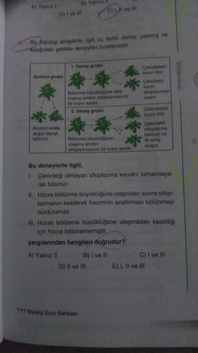 Al Yama
B) Yalniz
Dil ve il! El vel
Bir biyolog amiplerle ilgili aç farklı deney yapmig ve
apağıdaki pekilde deneyleri zotlemiştir.
1. Deney grubu
Kontrol grubu
Cokirdeksi
kim Olur
Cekirdekli
kisim
sitoplazmayi
onani
Bolnime boyklogune utny
mamiy amibin si