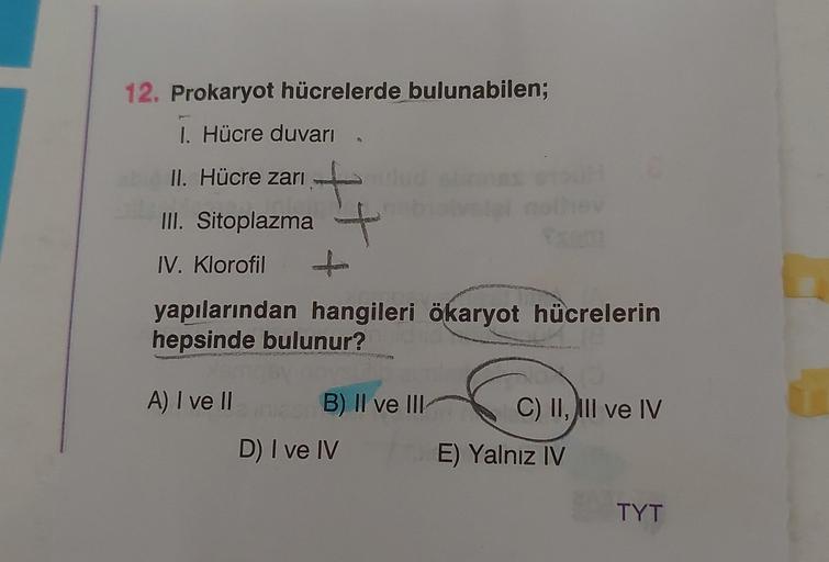 12. Prokaryot hücrelerde bulunabilen; 1. Hücre duva… Biyoloji 12. Prokaryot hücrelerde bulunabilen; 1. Hücre duva… Biyoloji