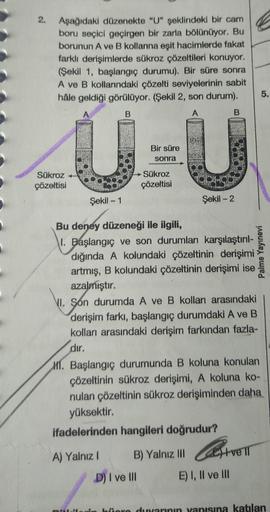 2.
Aşağıdaki düzenekte "U" şeklindeki bir cam
boru seçici geçirgen bir zarla bölünüyor. Bu
borunun A ve B kollarına eşit hacimlerde fakat
farklı derişimlerde sükroz çözeltileri konuyor.
(Şekil 1, başlangıç durumu). Bir süre sonra
A ve B kollarındaki çözelt