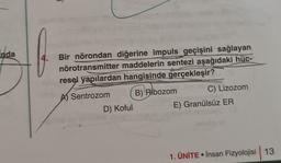 inda
4.
Bir nörondan diğerine impuls geçişini sağlayan
nörotransmitter maddelerin sentezi aşağıdaki
hüc-
resel yapılardan hangisinde gerçekleşir?
A Sentrozom B) Ribozom C) Lizozom
D) Koful
E) Granülsüz ER
1. ÜNİTE İnsan Fizyolojisi 13
