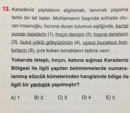 13. Karadeniz yaylalarını algılamak, tanımak yaşama
farklı bir tat katar. Muhlamanın başında sofrada otu-
ran insanoğlu, horona duran tulumun eşliğinde, kartal
yuvası tepelerin (1), hırçın denizin (2), hoyrat derelerin
(3), bulut yüklü gökyüzünün (4), uçsu