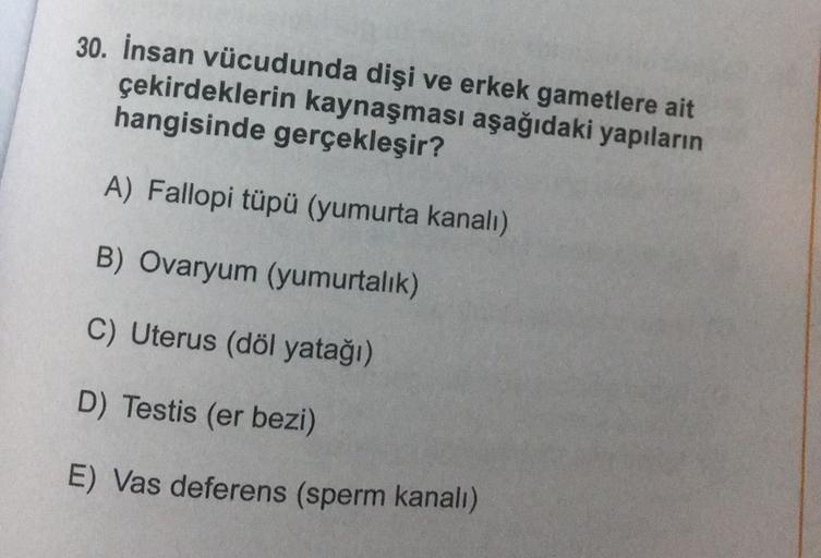 30. İnsan vücudunda dişi ve erkek gametlere ait
çekirdeklerin kaynaşması aşağıdaki yapıların
hangisinde gerçekleşir?
A) Fallopi tüpü (yumurta kanalı)
B) Ovaryum (yumurtalık)
C) Uterus (döl yatağı)
D) Testis (er bezi)
E) Vas deferens (sperm kanalı)
