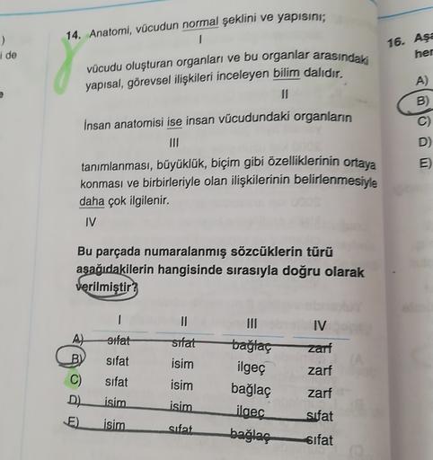 14. Anatomi, vücudun normal şeklini ve yapısını;
)
i de
16. Aşa
her
vücudu oluşturan organları ve bu organlar arasındaki
yapısal, görevsel ilişkileri inceleyen bilim dalıdır.
A)
II
B)
Insan anatomisi ise insan vücudundaki organların
C)
D)
E)
tanımlanması, 