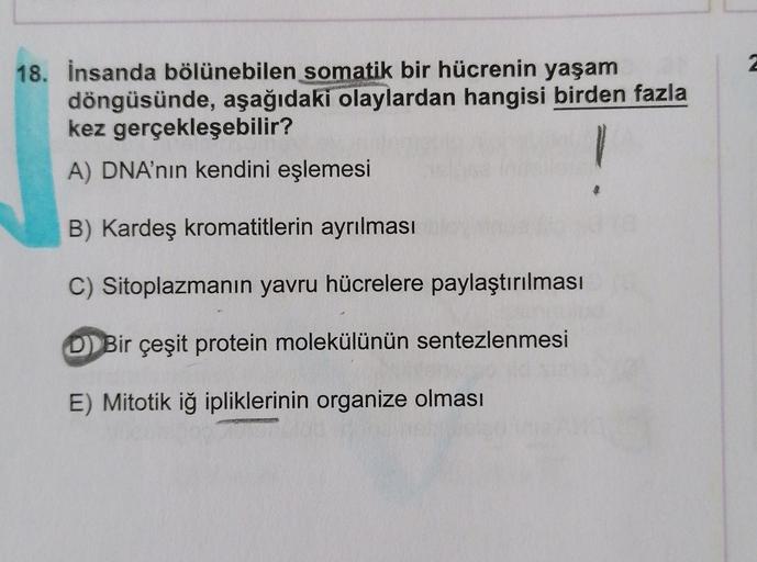 2
18. İnsanda bölünebilen somatik bir hücrenin yaşam
döngüsünde, aşağıdaki
olaylardan hangisi birden fazla
kez gerçekleşebilir?
A) DNA'nın kendini eşlemesi
B) Kardeş kromatitlerin ayrılması
C) Sitoplazmanın yavru hücrelere paylaştırılması
D) Bir çeşit prot