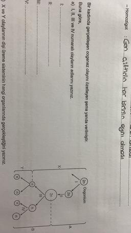 - Homozigot :con.... Giltinio....hec...brain...ayo...olması.
Bir kadında gerçekleşen oogenez olayını özetleyen şema yanda verilmiştir.
2n) Oogonium
Buna göre,
a) I, II, III ve IV numaralı olayların adlarını yazınız.
2n
A
I: ..
x
IT:
2n
III
Jll:
V:..
n
) X ve Y olaylarının dişi üreme sisteminin hangi organlarında gerçekleştiğini yazınız.
