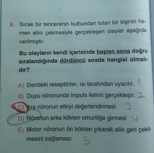 6. Sıcak bir tencerenin kulbundan tutan bir kişinin he-
men elini çekmesiyle gerçekleşen olaylar aşağıda
verilmiştir.
Bu olayların kendi içerisinde baştan sona doğru
sıralandığında dördüncü sırada hangisi olmali-
dır?
1
A) Derideki reseptörler, isi tarafın