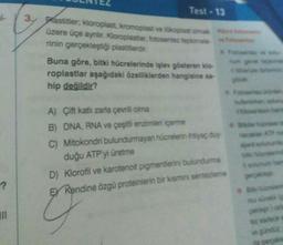 Test - 13
3.
plastitler, kloroplast, kromoplast velkoplast olmak
üzere üçe ayrlur. Kloroplastiar, fotosentezelemele
rinin gerçekleştiği plastitlerdir.
Buna göre, bitki hücrelerinde işlev gösteren klo
roplastlar aşağıdaki özelliklerden hangisine sa
hip değildir?
.
A) Çift katlı zarla çevrili olma
B) DNA, RNA ve çeşitli enzimleri içerme
C) Mitokondri bulundurmayan hücrelerin yac duy
duğu ATP yi üretme
D) Klorofil ve karotenoit pigmentlerini bulundurma
EY Rendine özgü proteinlerin bir kısmı sentezleme
-?
