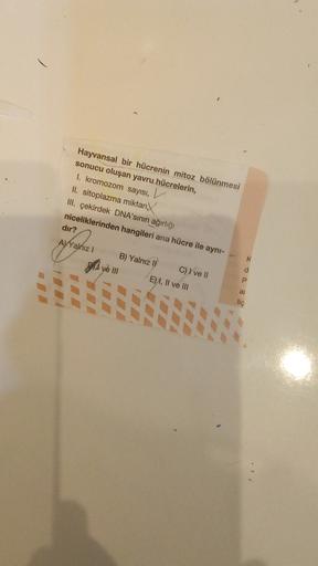 Hayvansal bir hücrenin mitoz bölünmesi
sonucu oluşan yavru hücrelerin,
I. kromozom sayısı,
V
II. sitoplazma miktarı,
III. çekirdek DNA'sının ağırlığı
niceliklerinden hangileri ana hücre ile aynı-
dır?
A) Yalnız! B) Yalnız II C) I ve II
DiA ve III E), II ve