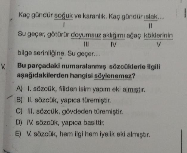 V.
Kaç gündür soğuk ve karanlık, Kaç gündür islak...
1
11
Su geçer, götürür doyumsuz aklığımı ağaç köklerinin
III IV
V
bilge serinliğine. Su geçer...
Bu parçadaki numaralanmış sözcüklerle ilgili
aşağıdakilerden hangisi söylenemez?
A) I. sözcük, fillden isi