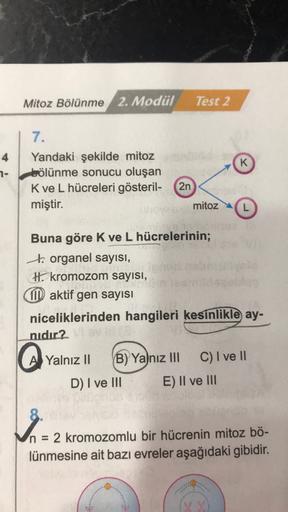 Mitoz Bölünme
2. Modül
Test 2
4
K
7-
7.
Yandaki şekilde mitoz
bölünme sonucu oluşan
Kve L hücreleri gösteril-
miştir.
2n
mitoz
L
Buna göre Kve L hücrelerinin;
to organel sayısı,
H. kromozom sayısı,
CITD aktif gen sayısı
niceliklerinden hangileri kesinlikle