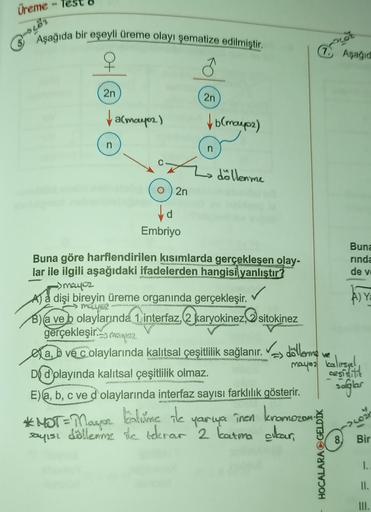 Üreme
Aşağıda bir eşeyli üreme olayı şematize edilmiştir.
7. Aşağıd
2n
2n
& acmaupos)
to maups)
n
n
döllenme
2n
Ho d
Embriyo
Buna
rinda
de v
SOURCE
ca
gerçekleşir. oregues?
Buna göre harflendirilen kısımlarda gerçekleşen olay-
lar ile ilgili aşağıdaki ifad