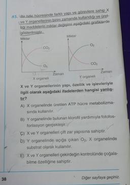 25. Bir bitki hücresinde farklı yapı ve görevlere sahip X
ve Yorganellerinin birim zamanda kullandığı ve üret-
tiği maddelerin miktar değişimi aşağıdaki grafiklerde
gösterilmiştir.
Miktar
Miktar
O2
CO2
CO2
Zaman
Zaman
X organeli
Y organeli
X ve Y organellerinin yapı, özellik ve işlevleriyle
ilgili olarak aşağıdaki ifadelerden hangisi yanlış-
tir?
A) X organelinde üretilen ATP hücre metabolizma-
sinda kullanılır.
B) Y organelinde bulunan klorofil yardımıyla fotofos-
forilasyon gerçekleşir. V
C) X ve Y organelleri çift zar yapısına sahiptir.
b) Y organelinde açığa çıkan O2, X organelinde
substrat olarak kullanılır.
E) X ve Yorganelleri çekirdeğin kontrolünde çoğala-
bilme özelliğine sahiptir.
38
Diğer sayfaya geçiniz.