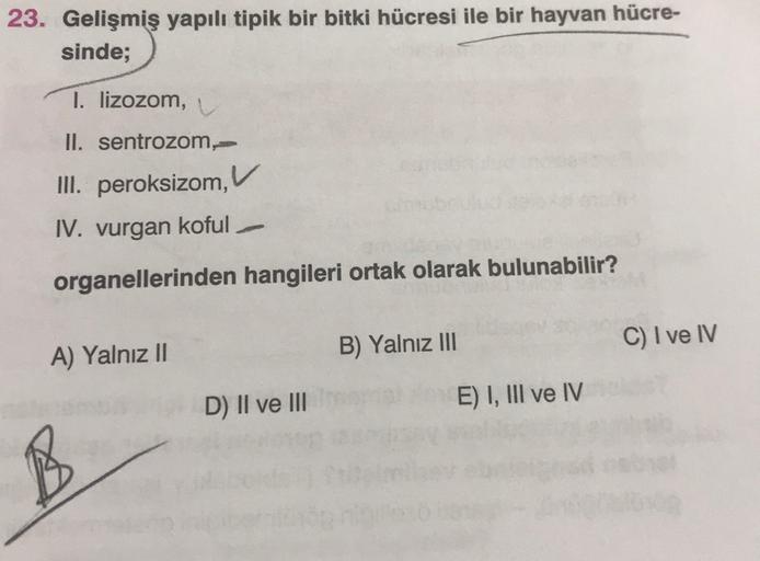 23. Gelişmiş yapılı tipik bir bitki hücresi ile bir hayvan hücre-
sinde;
I. lizozom,
II. sentrozom,
III. peroksizom,
IV. vurgan koful
organellerinden hangileri ortak olarak bulunabilir?
A) Yalnız II
B) Yalnız III
C) I ve IV
D) II ve III
E) I, III ve IV
