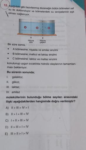 12. Aşağıdaki gibi hazırlanmış düzeneğin bütün bölmeleri saf
su ile dolduruluyor ve bölmelerdeki su seviyelerinin eşit
olması sağlanıyor.
A
B
Hücre
zari
Hücre
çeperi
Bir süre sonra,
o
A bölmesine; nişasta ve amilaz enzimi
B bölmesine; maltoz ve laktaz enzi