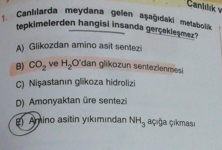 Canlılık v
1.
Canlılarda meydana gelen aşağıdaki metabolik
tepkimelerden hangisi insanda gerçekleşmez?
A) Glikozdan amino asit sentezi
B) CO2 ve H,O'dan glikozun sentezlenmesi
C) Nişastanın glikoza hidrolizi
D) Amonyaktan üre sentezi
) Anino asitin yıkımın