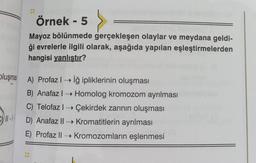 Örnek - 5
Mayoz bölünmede gerçekleşen olaylar ve meydana geldi-
ği evrelerle ilgili olarak, aşağıda yapılan eşleştirmelerden
hangisi yanlıştır?
oluşmas
A) Profazliğ ipliklerinin oluşması
B) Anafaz | Homolog kromozom ayrılması
C) Telofazi Çekirdek zarının oluşması
D) Anafaz II + Kromatitlerin ayrılması
E) Profaz II + Kromozomların eşlenmesi