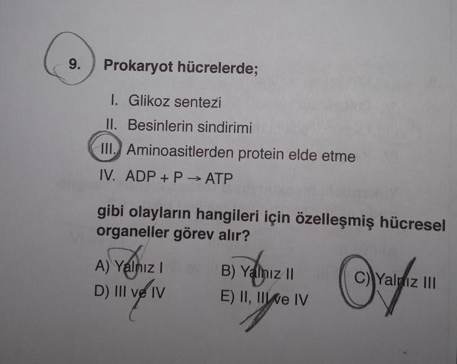 9.
Prokaryot hücrelerde;
1. Glikoz sentezi
II. Besinlerin sindirimi
III. Aminoasitlerden protein elde etme
IV. ADP + P → ATP
gibi olayların hangileri için özelleşmiş hücresel
organeller görev alır?
A) Yalnız !
D) III ve IV
B) Yalnız 10
E) II, II e IV
C) Ya