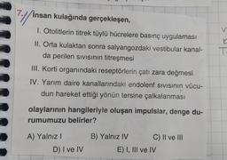 7://
insan kulağında gerçekleşen,
K
I. Otolitlerin titrek tüylü hücrelere basınç uygulaması
II. Orta kulaktan sonra salyangozdaki vestibular kanal-
da perilen sivisinin titreşmesi
III. Korti organındaki reseptörlerin çatı zara değmesi
IV. Yarım daire kanallarındaki endolenf sivisinin vücu-
dun hareket ettiği yönün tersine çalkalanması
olaylarının hangileriyle oluşan impulslar, denge du-
rumumuzu belirler?
B) Yalnız IV
C) II ve III
A) Yalnız!
D) I ve IV
E) I, III ve IV